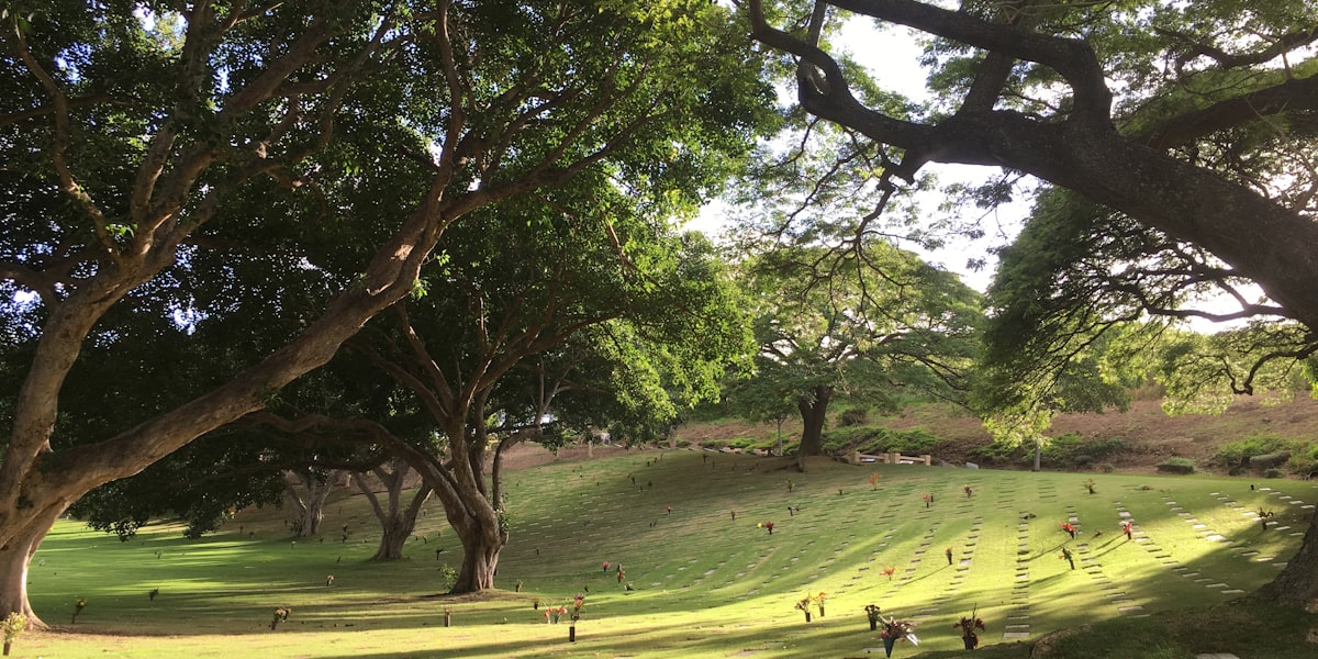Friedhof mit Graebern fuer die Erdbestattung
