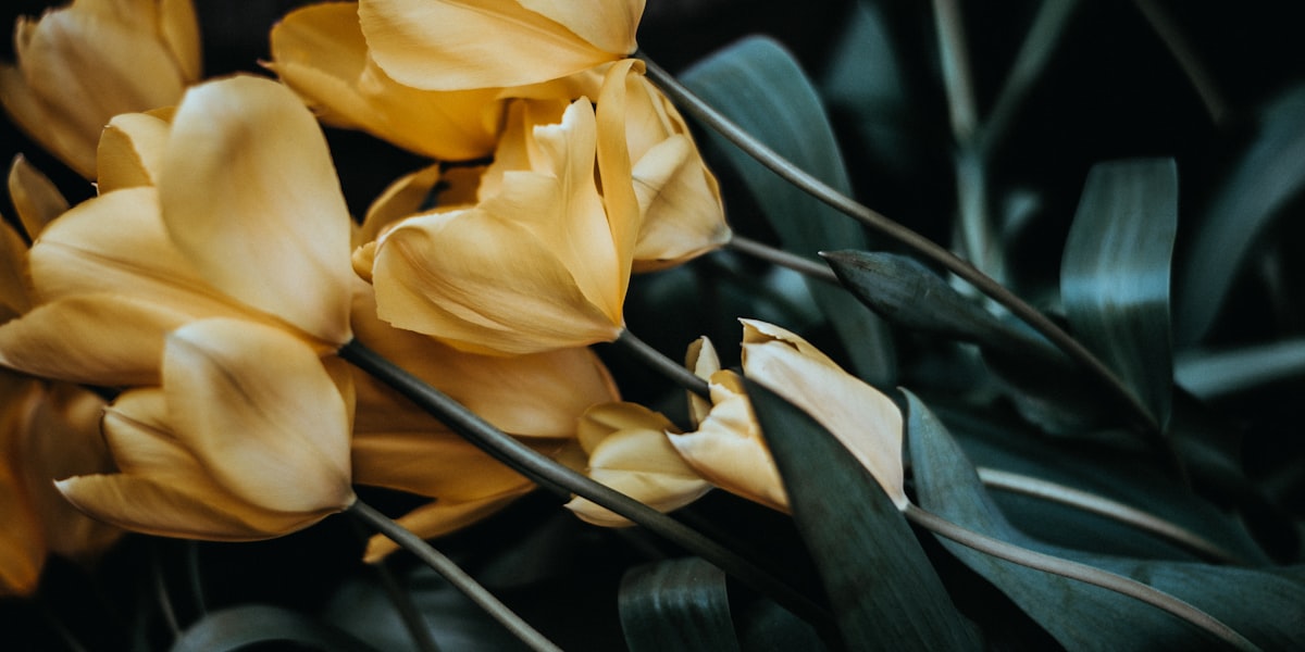 Verschiedene Trauerblumen fuer die Beerdigung