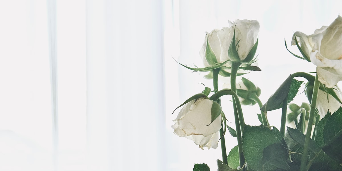 Trauerkarten mit Blumenmotiv